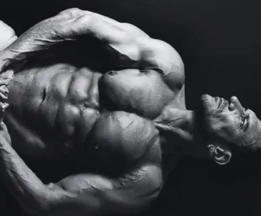 Marco Banderas header