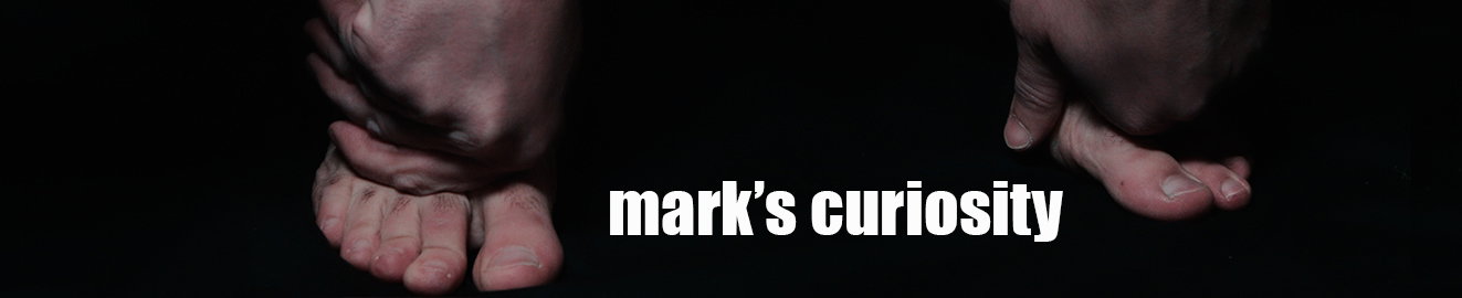 Mark's Curiosity header