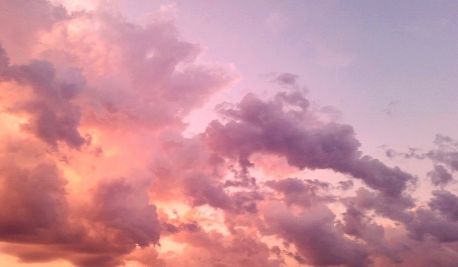 maya 🍓 header