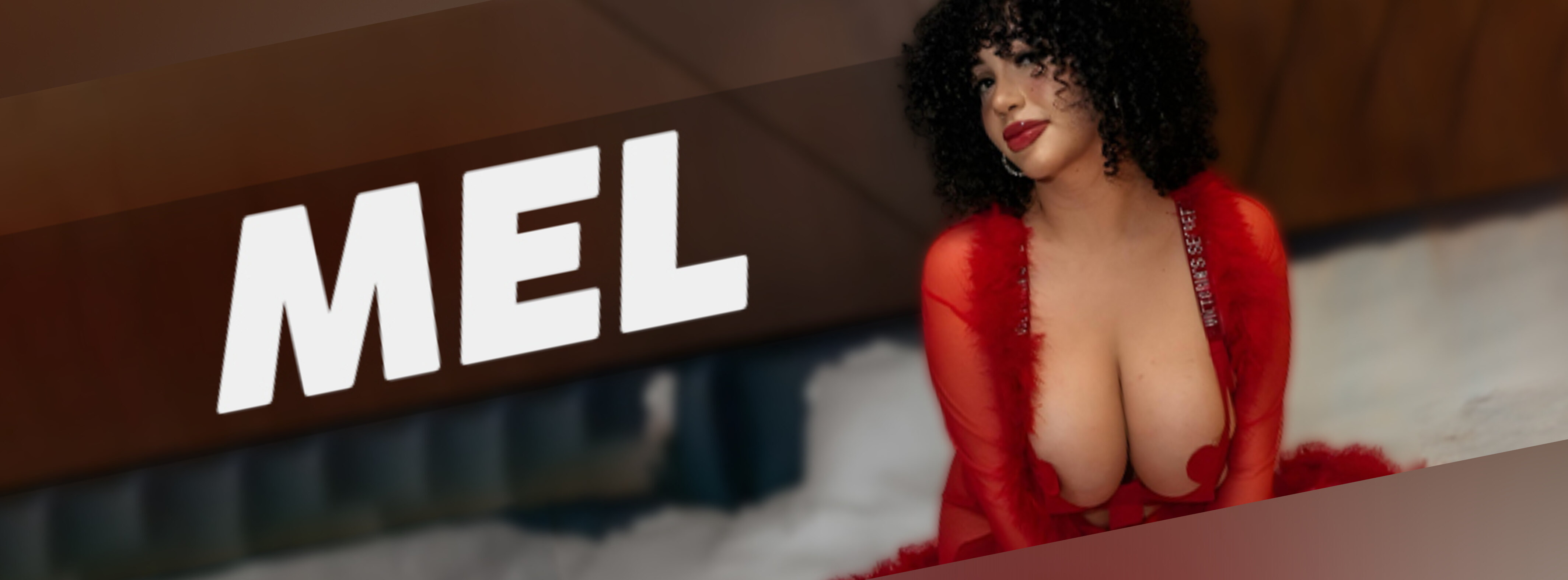 meldadel header