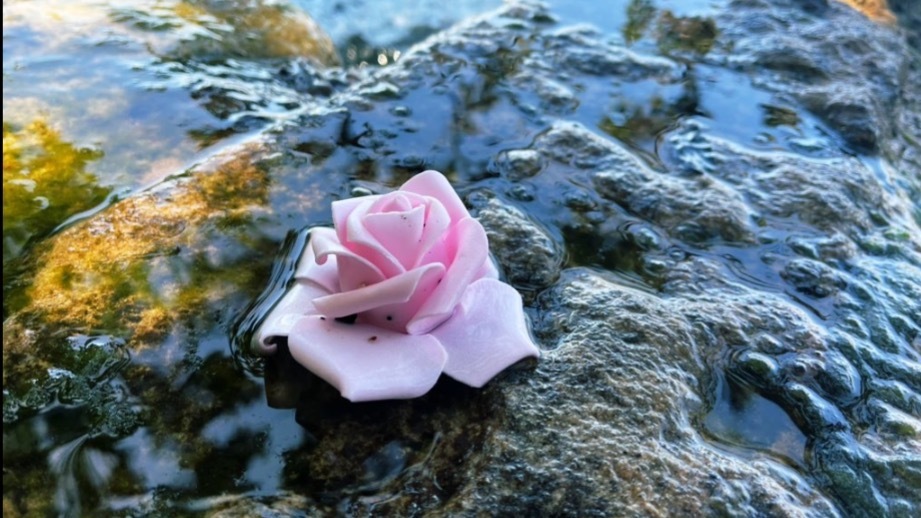 Miss Love Heart header