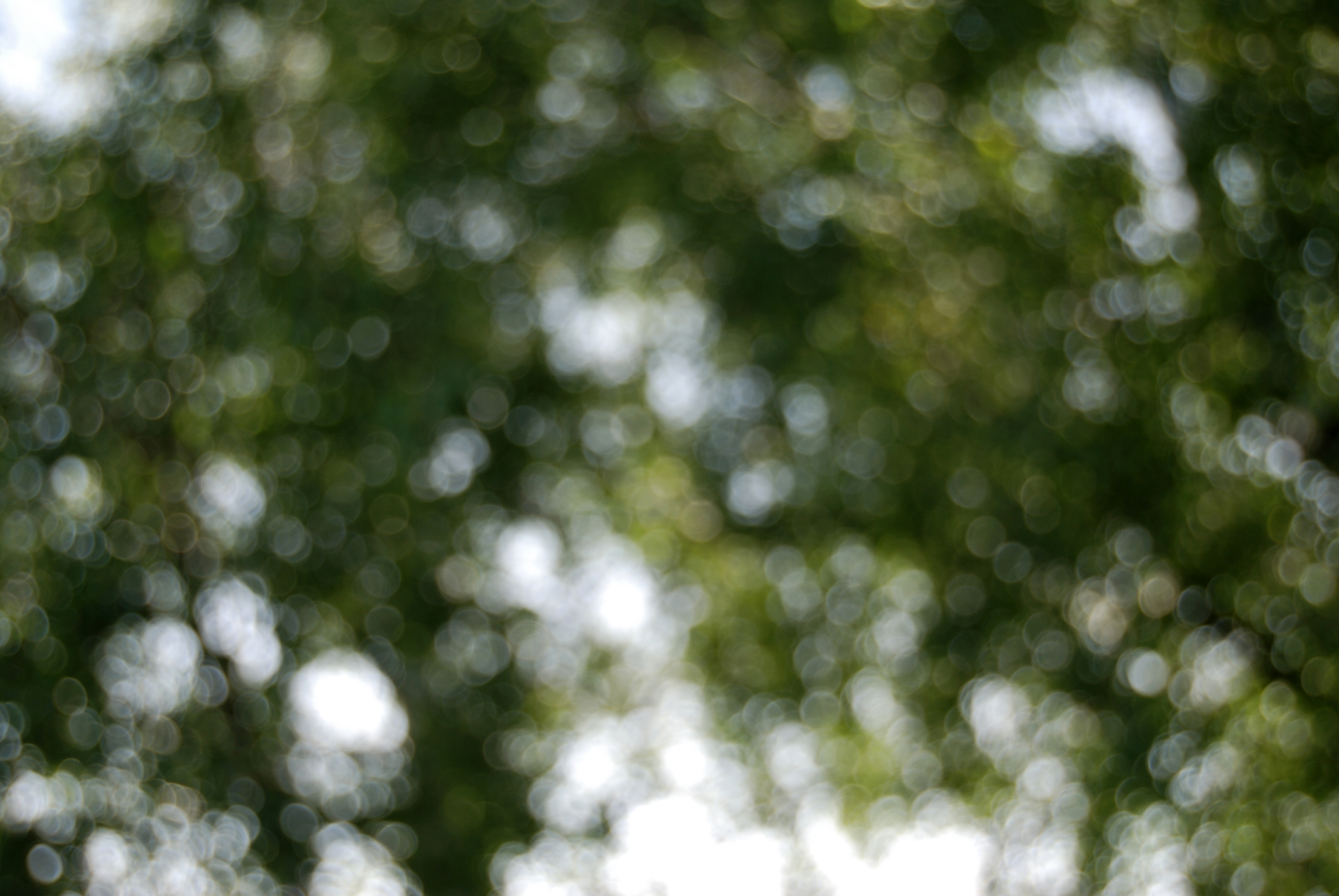 Muffin Fluffin FREE header