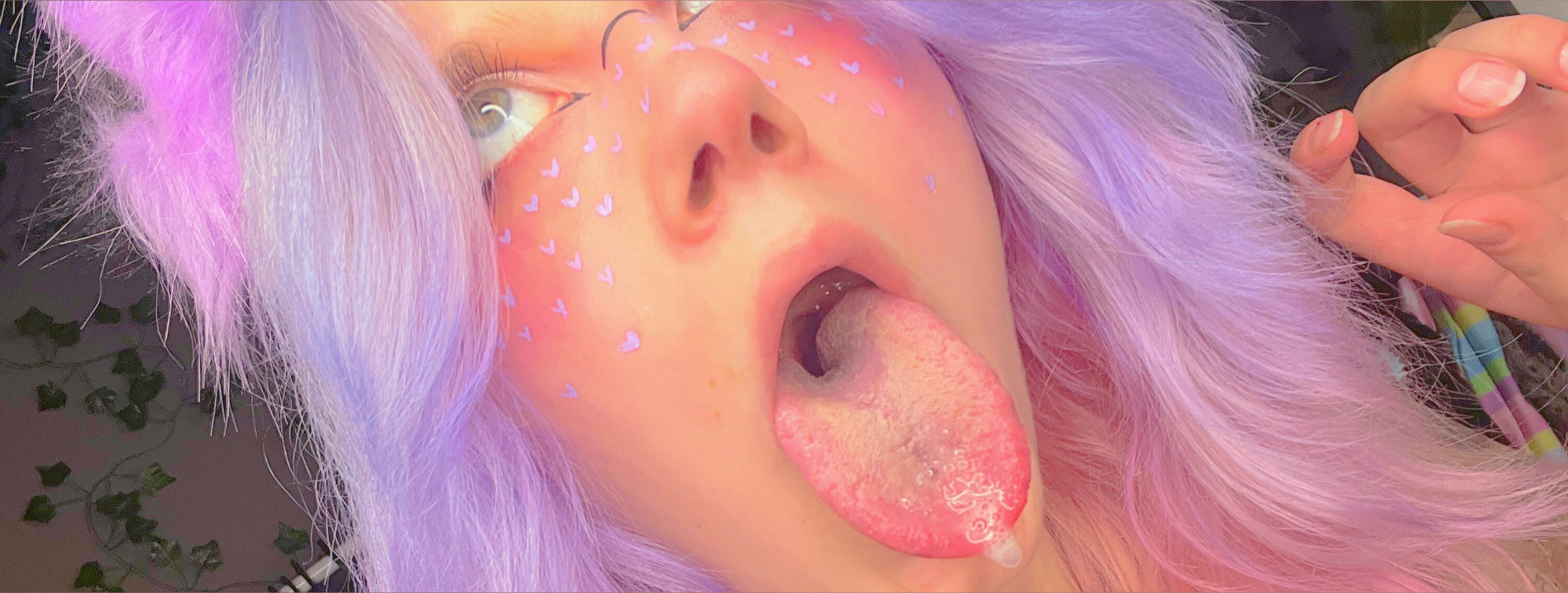 🌸Blushy Kittn🌸 header