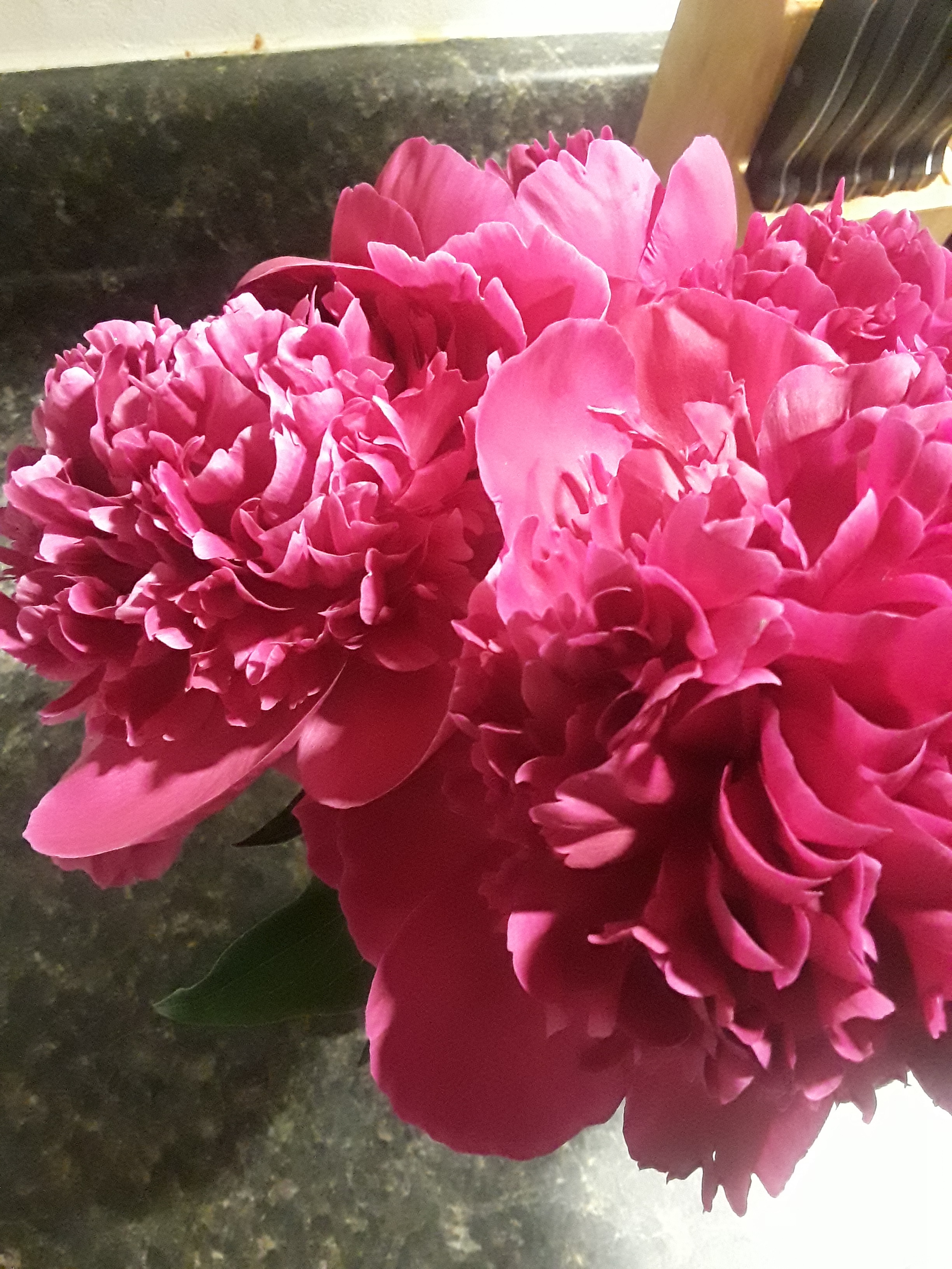 Mystical Mammaries header