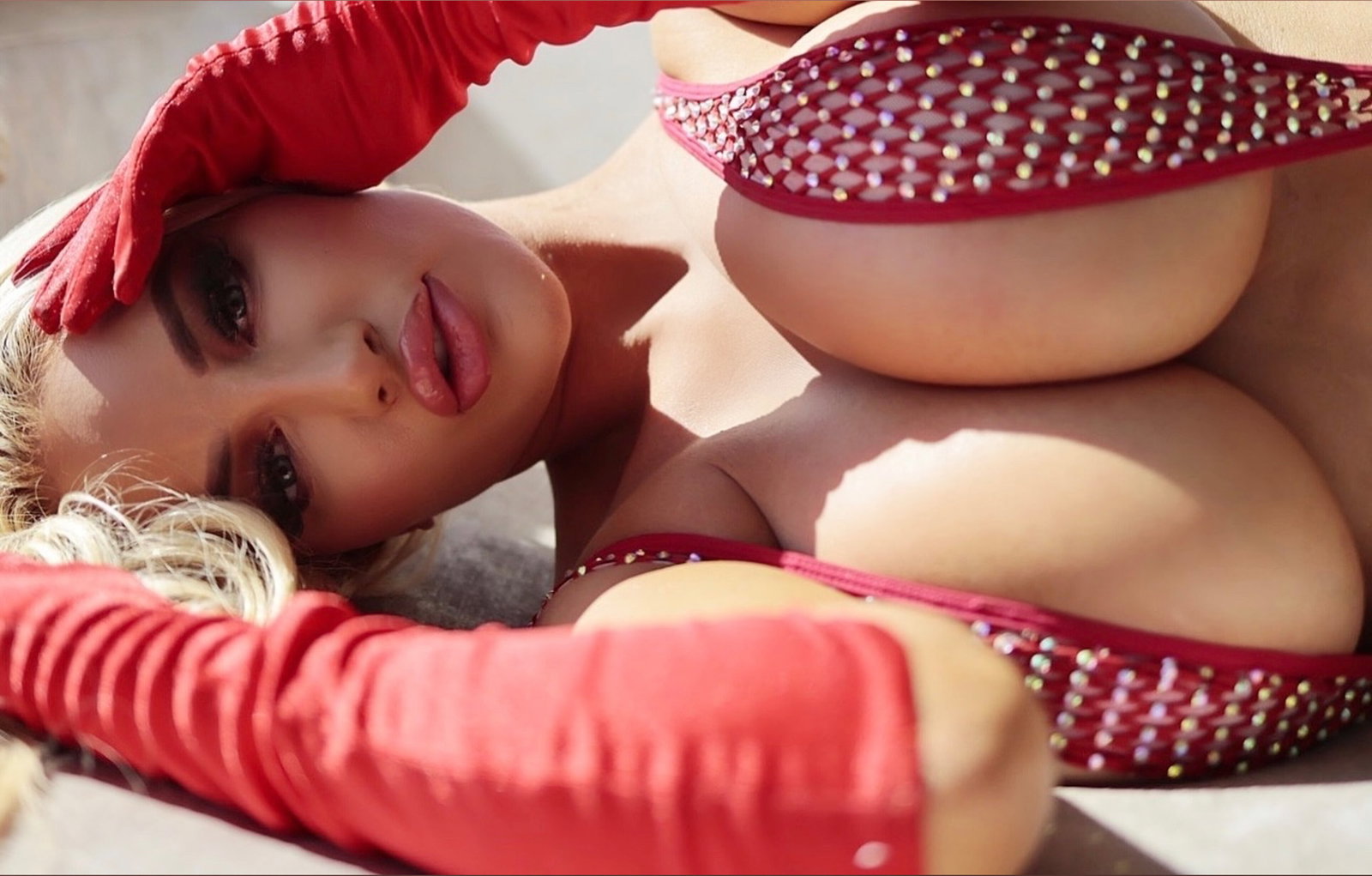 NICOLETTE SHEA header