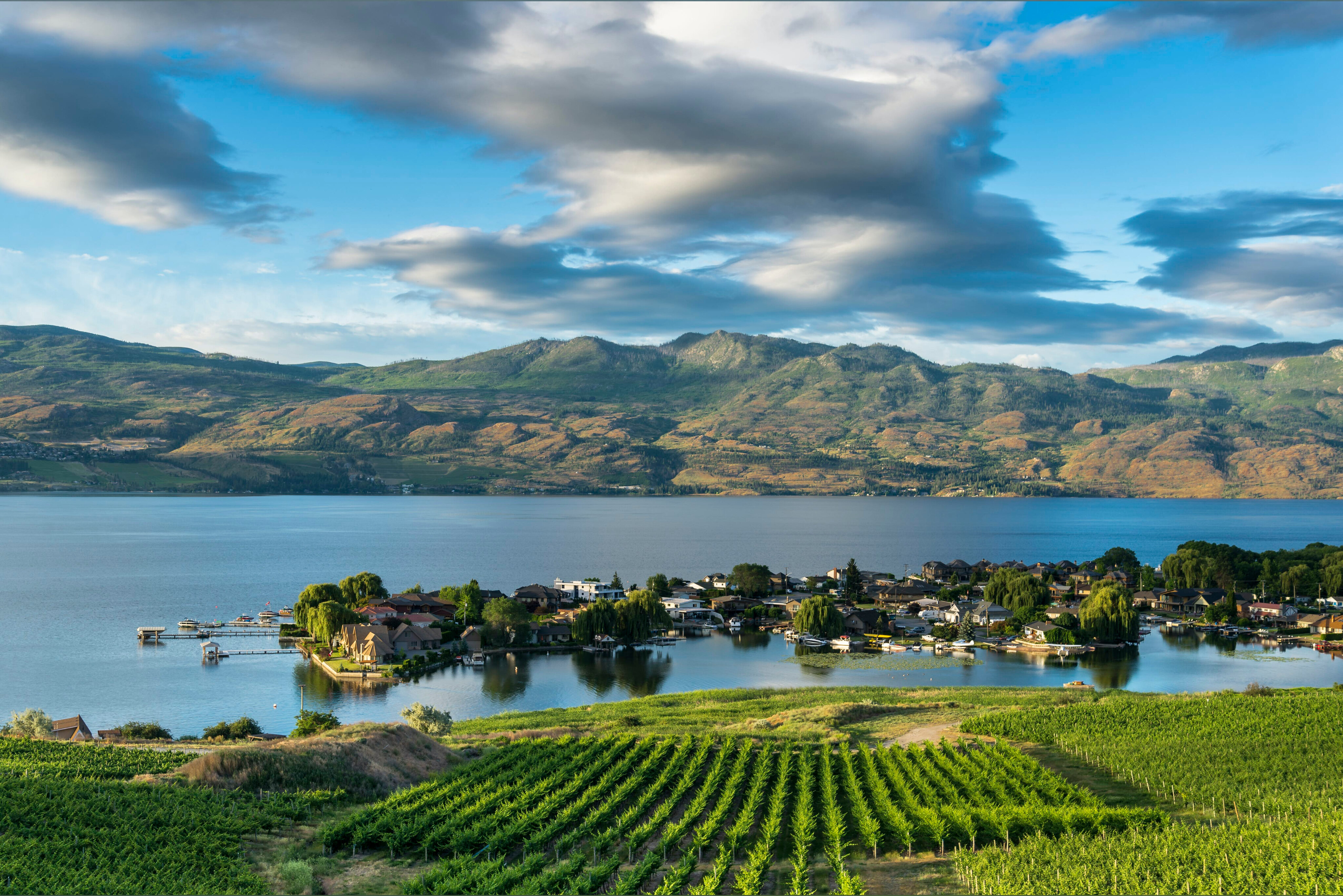 Okanagan Babes header