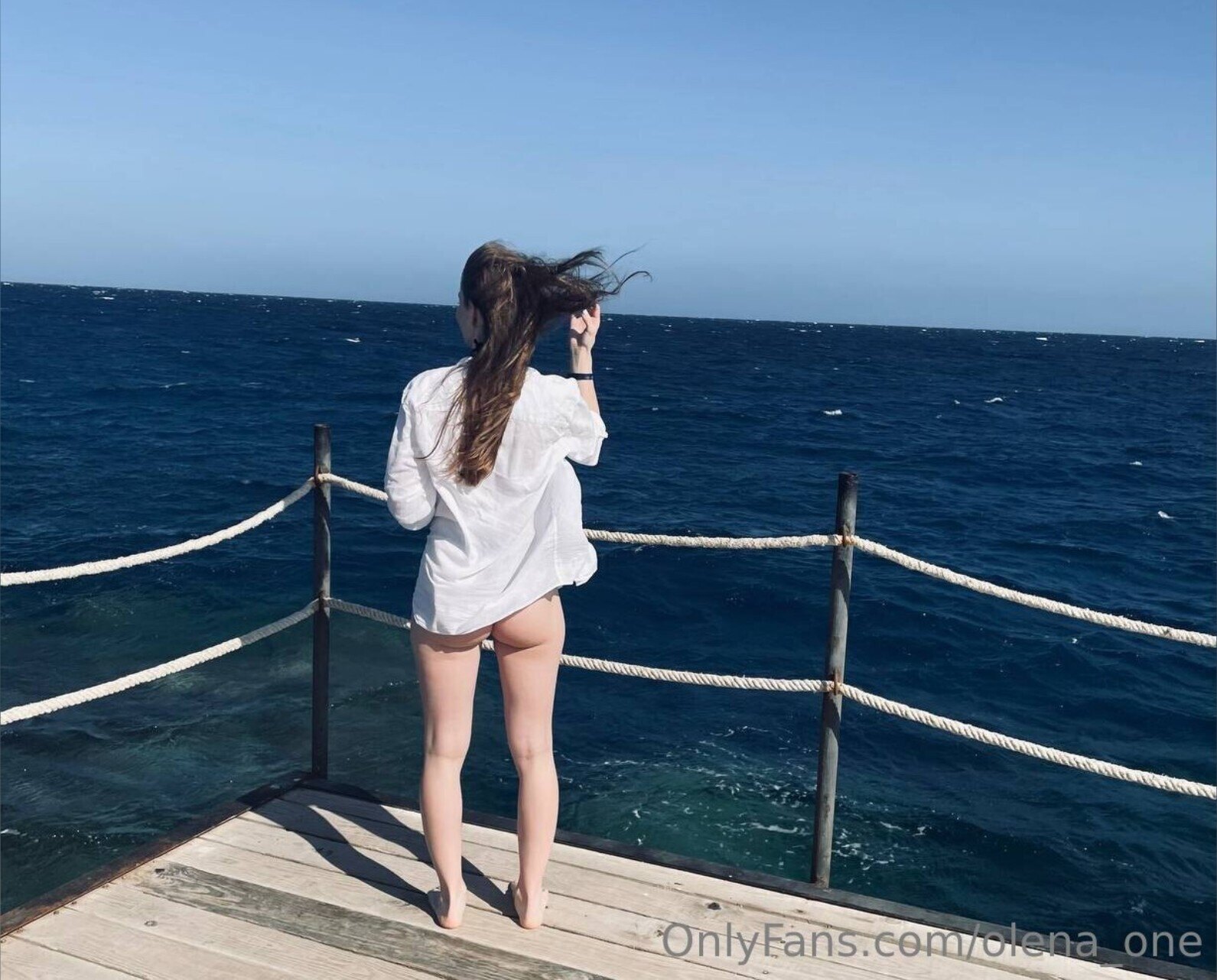 Olena☀️ header