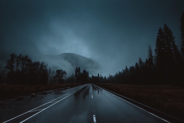 Forbidden 👑 header