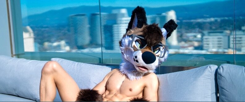 PalaceWolf header