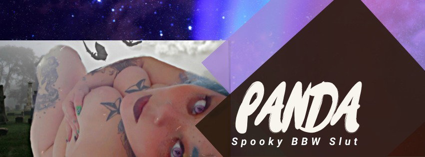 Shay Star the Panda header