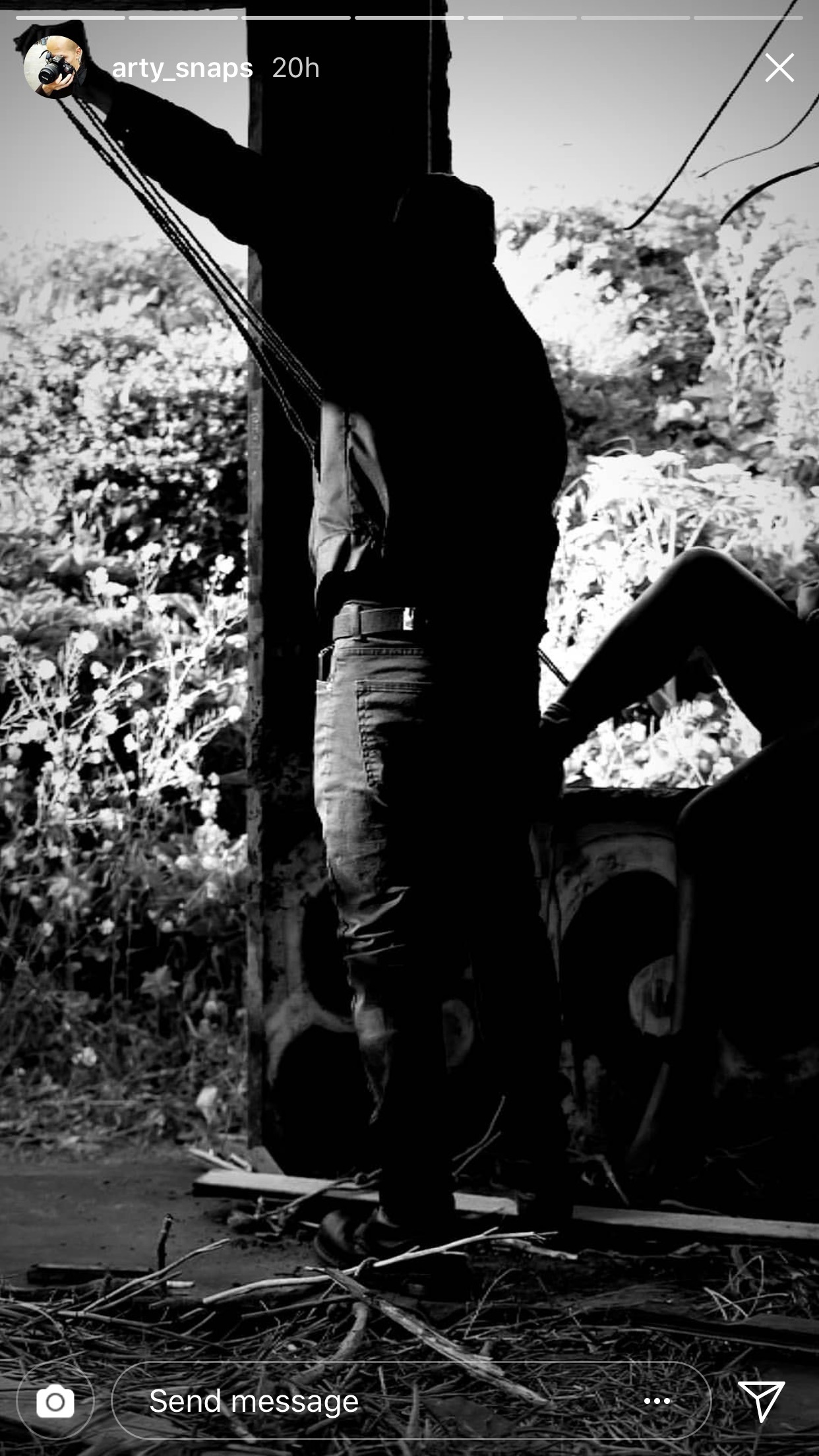 Paradise_woods header