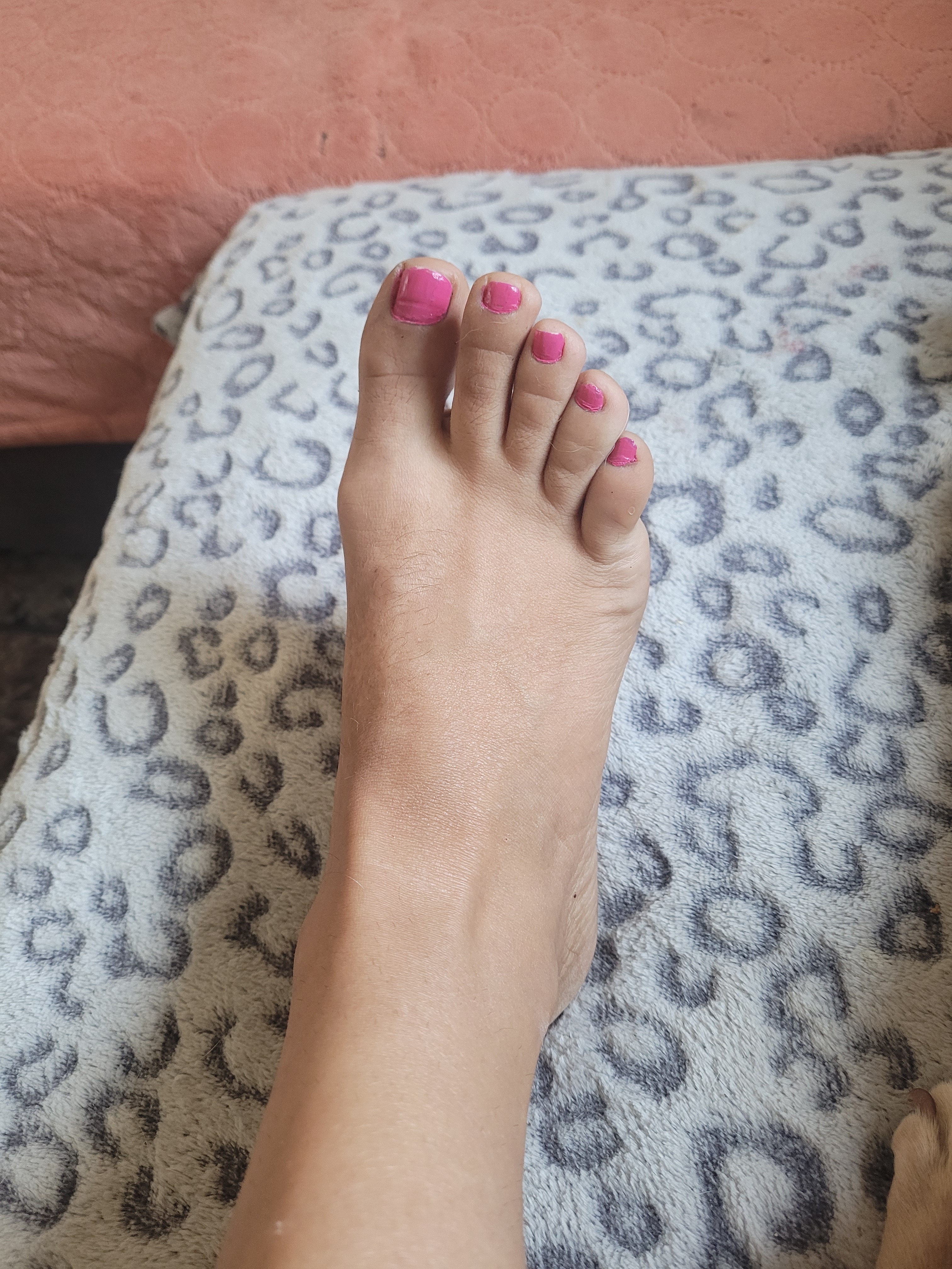 Chanel patricia header