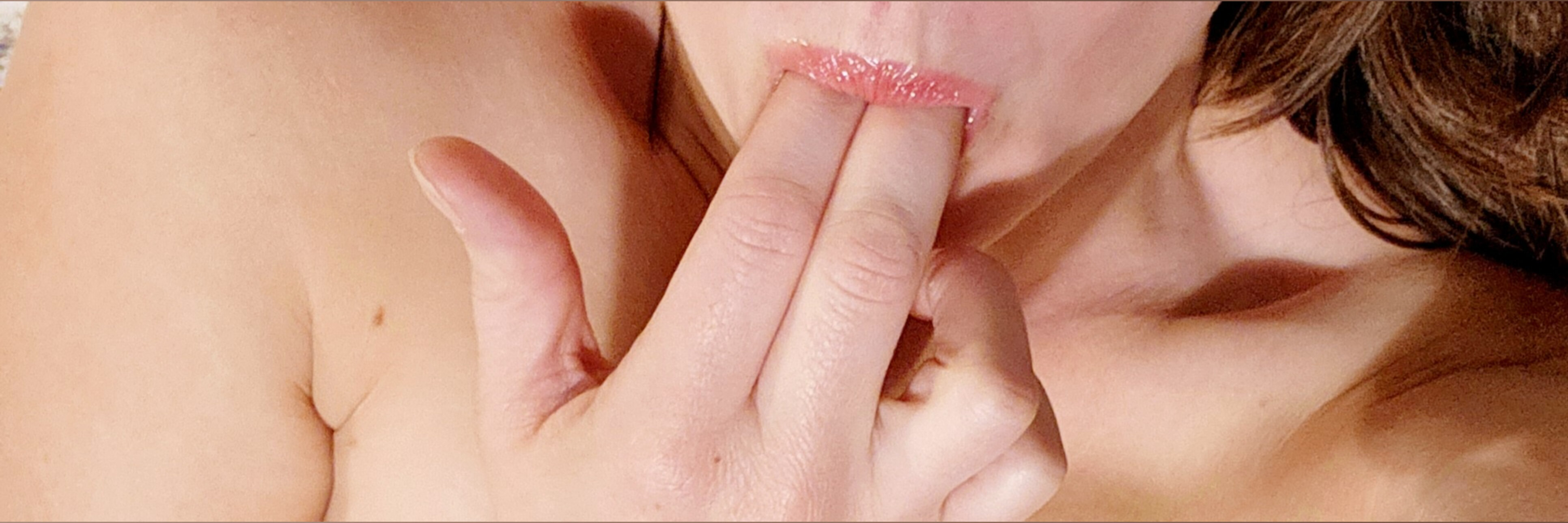 PghHausWife header