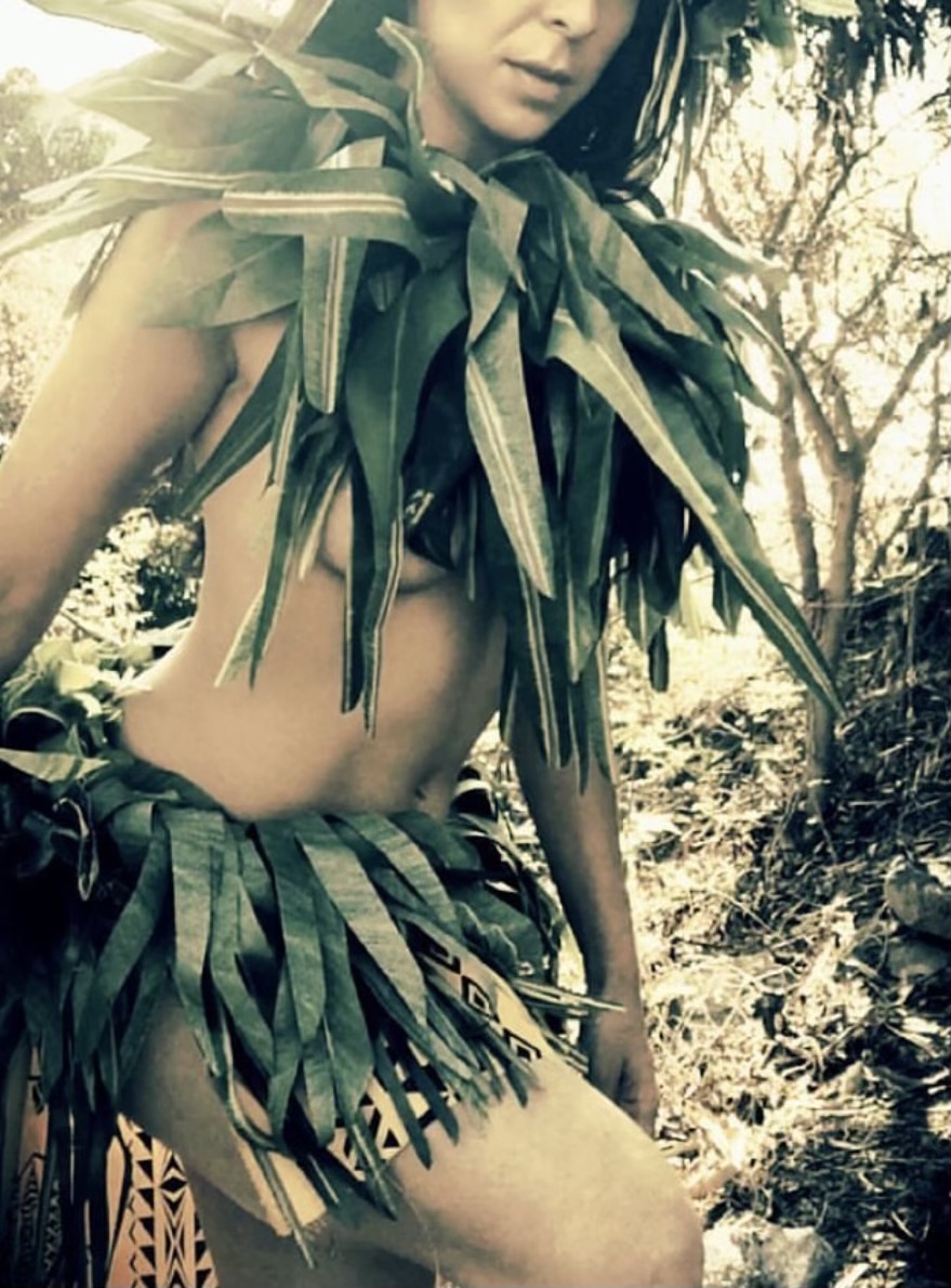 PrettyRedHibiscus header