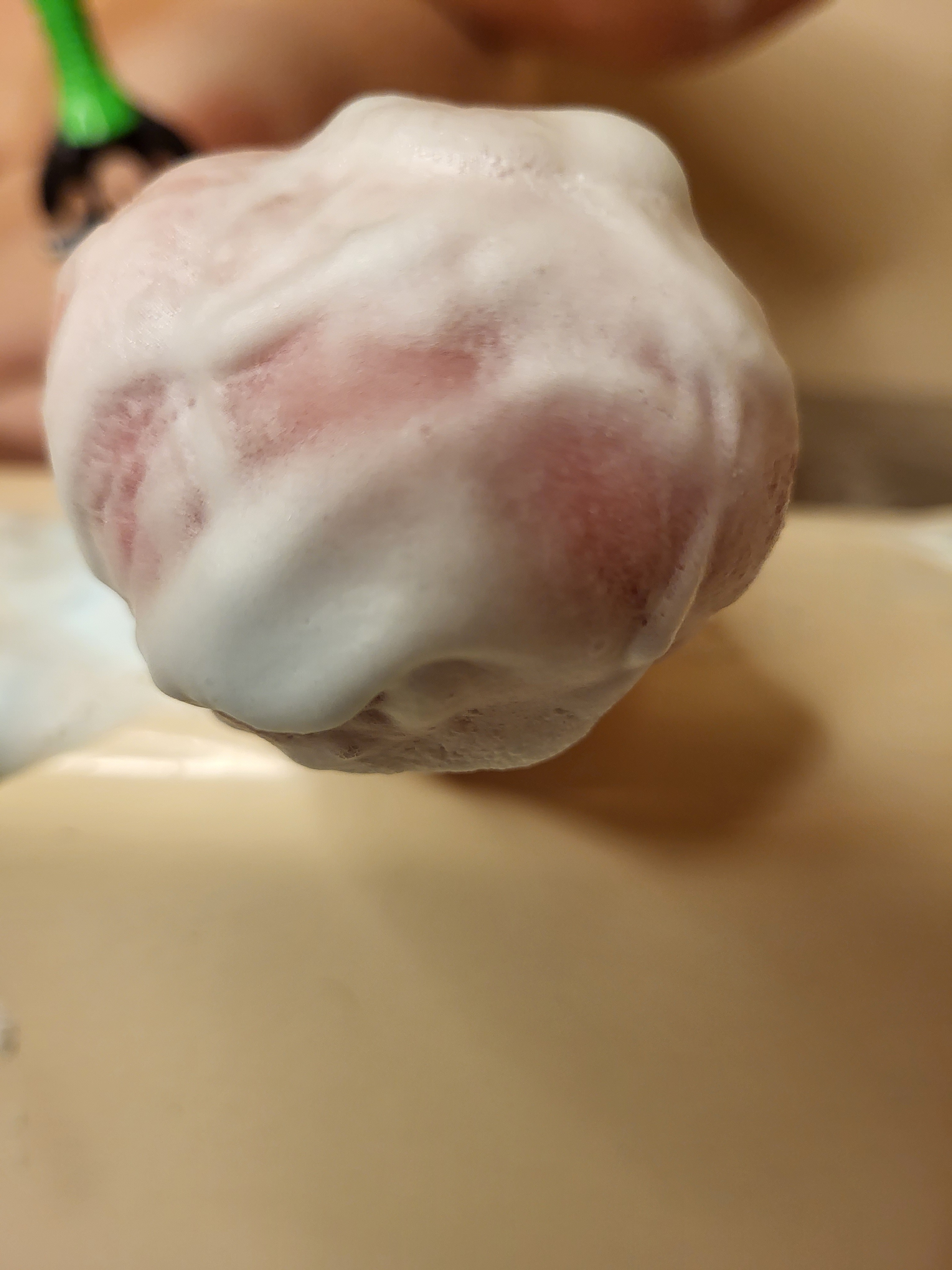 VIP.Pooka.Bean header