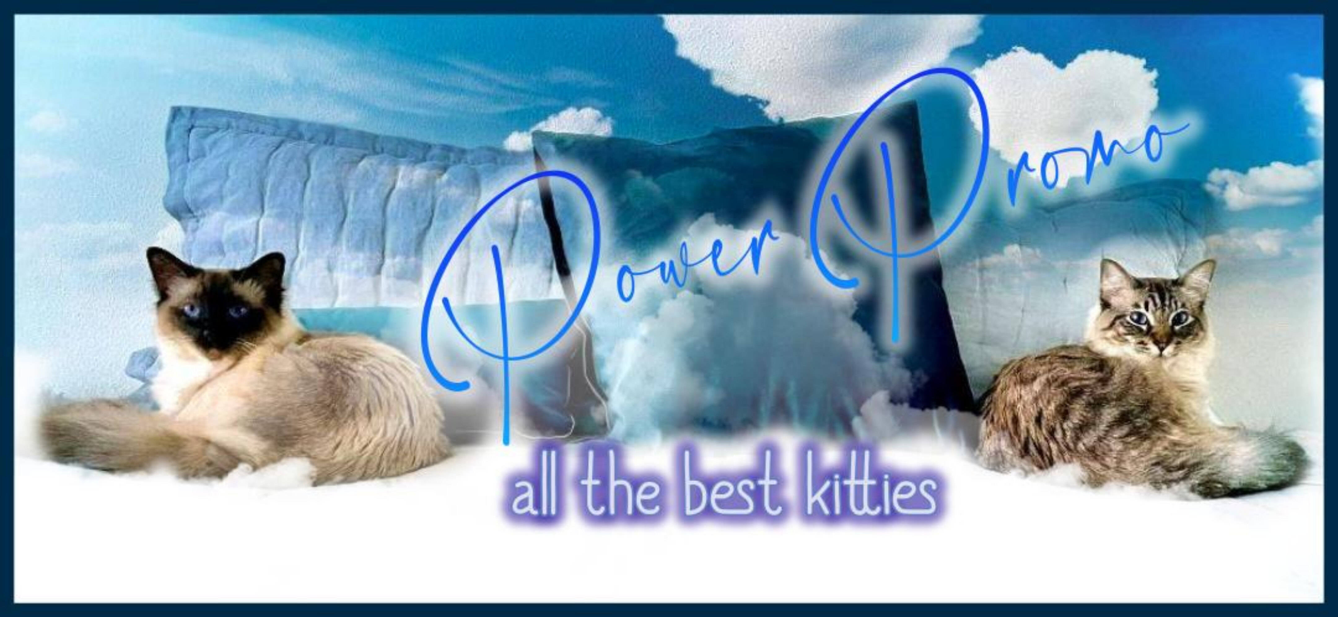 POWER🇧🇷PROMO header