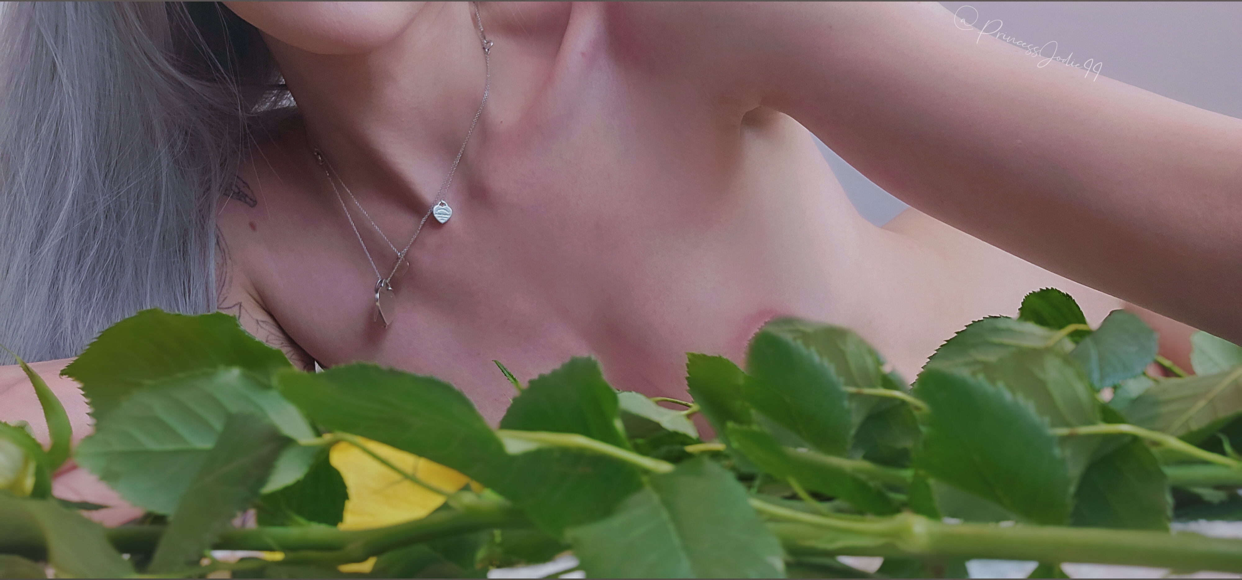 ｡ﾟ☁︎｡⋆☾𝓟𝓻𝓲𝓷𝓬𝓮𝓼𝓼 𝓢𝓸𝓵𝓼𝓽𝓲𝓬𝓮☾⋆｡ﾟ☁︎｡ header