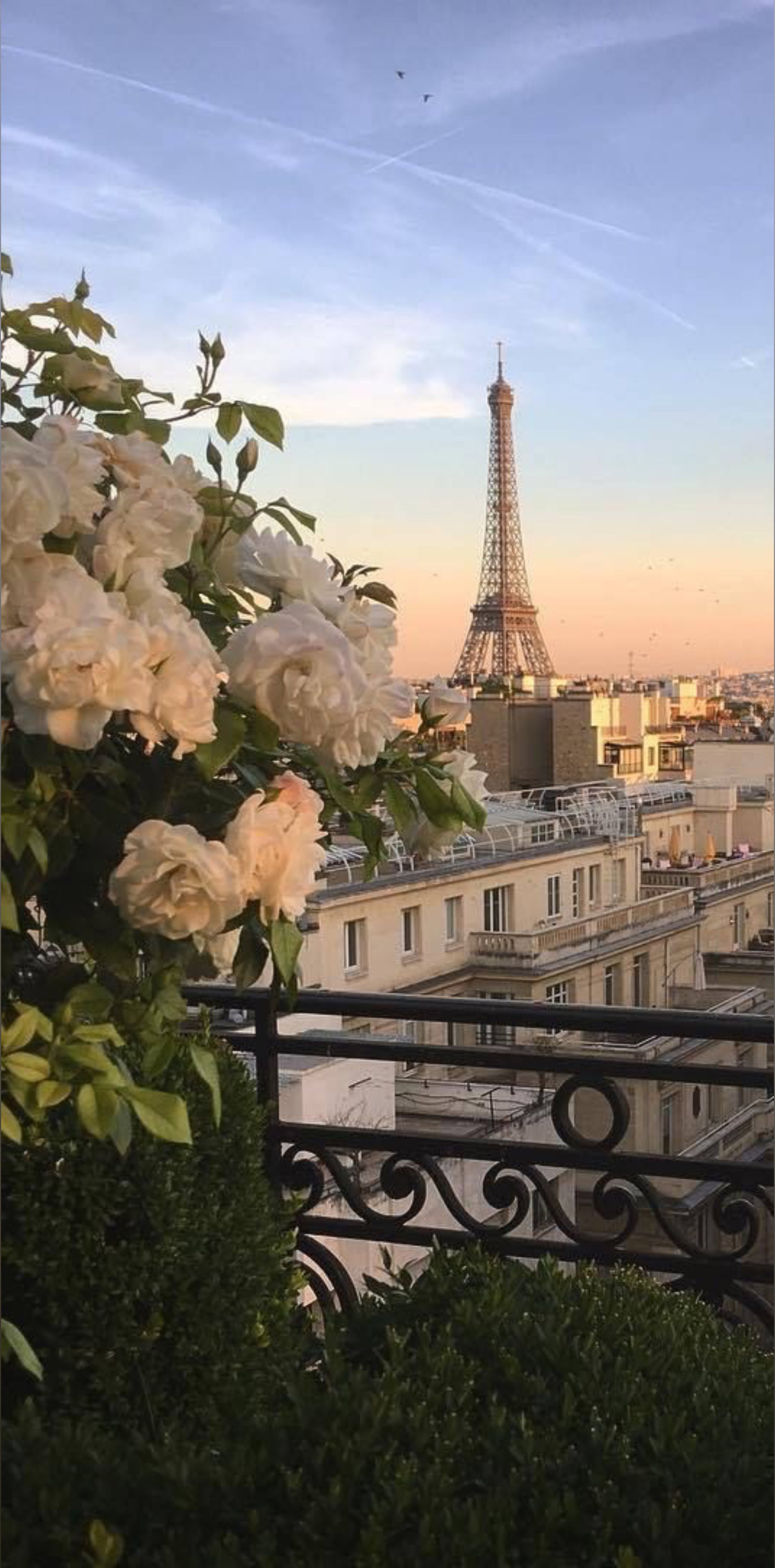 Raphaelle Bergeron header