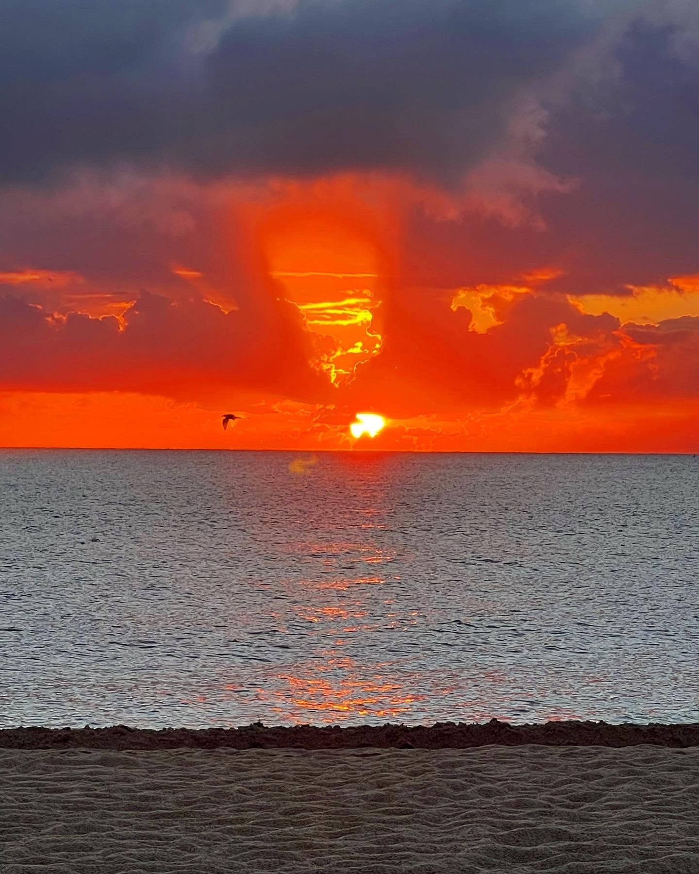 Roman Lust 🐍 header