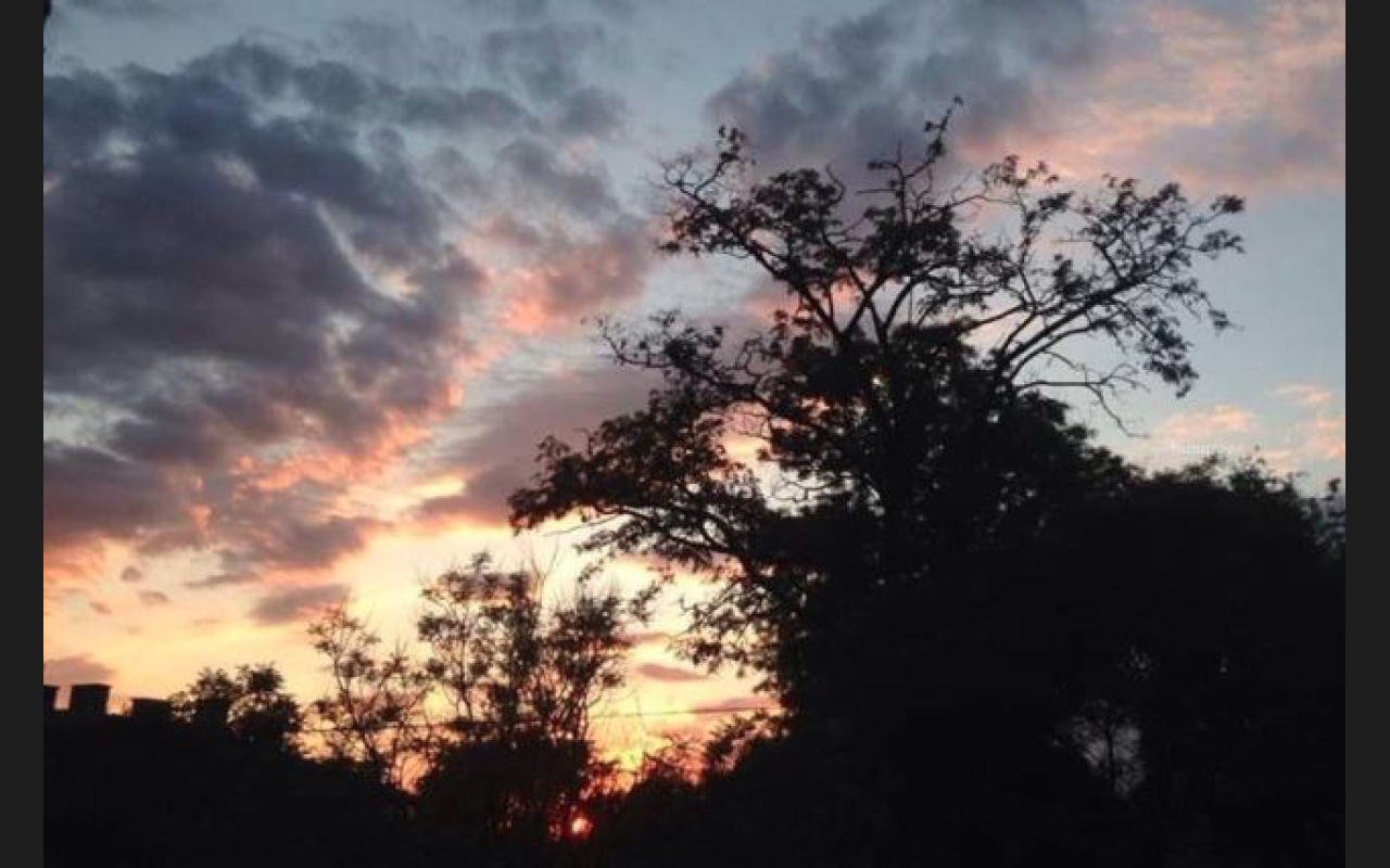 Natasha Petrova header