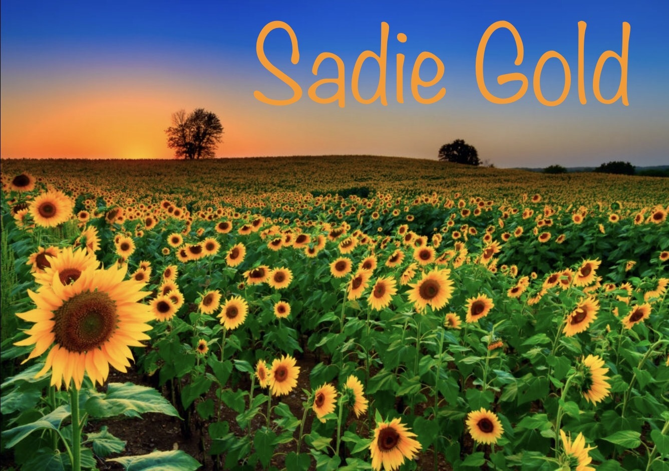 Sadie Gold header