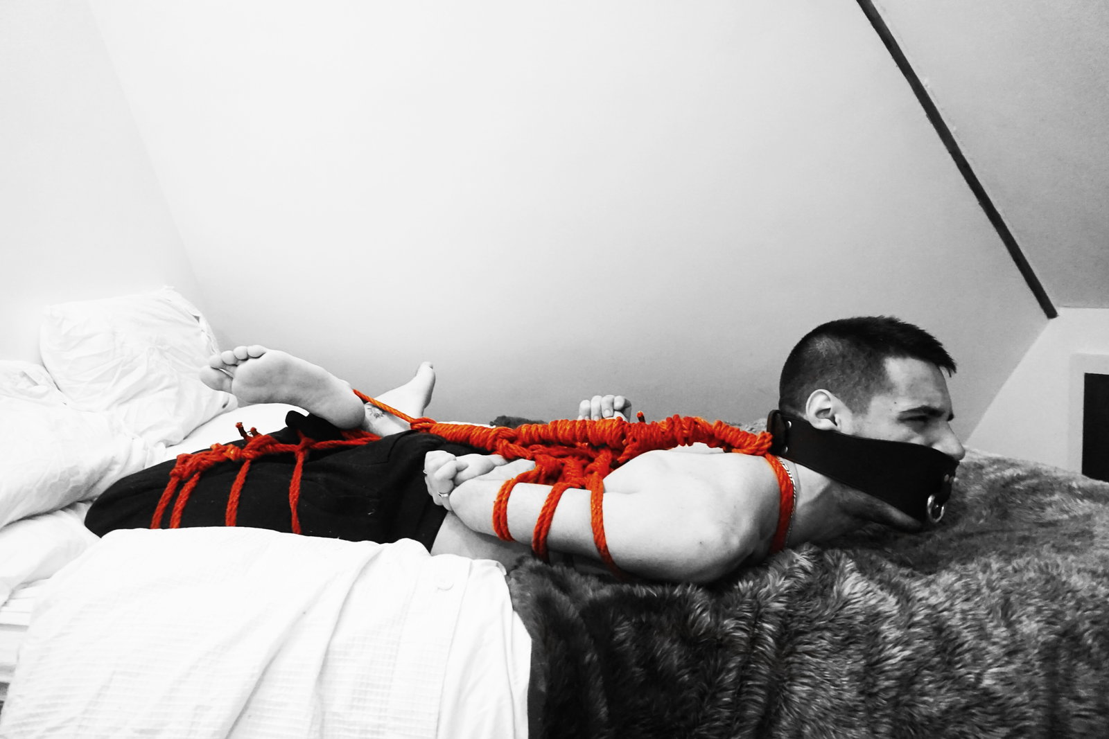 Safe and Bound header