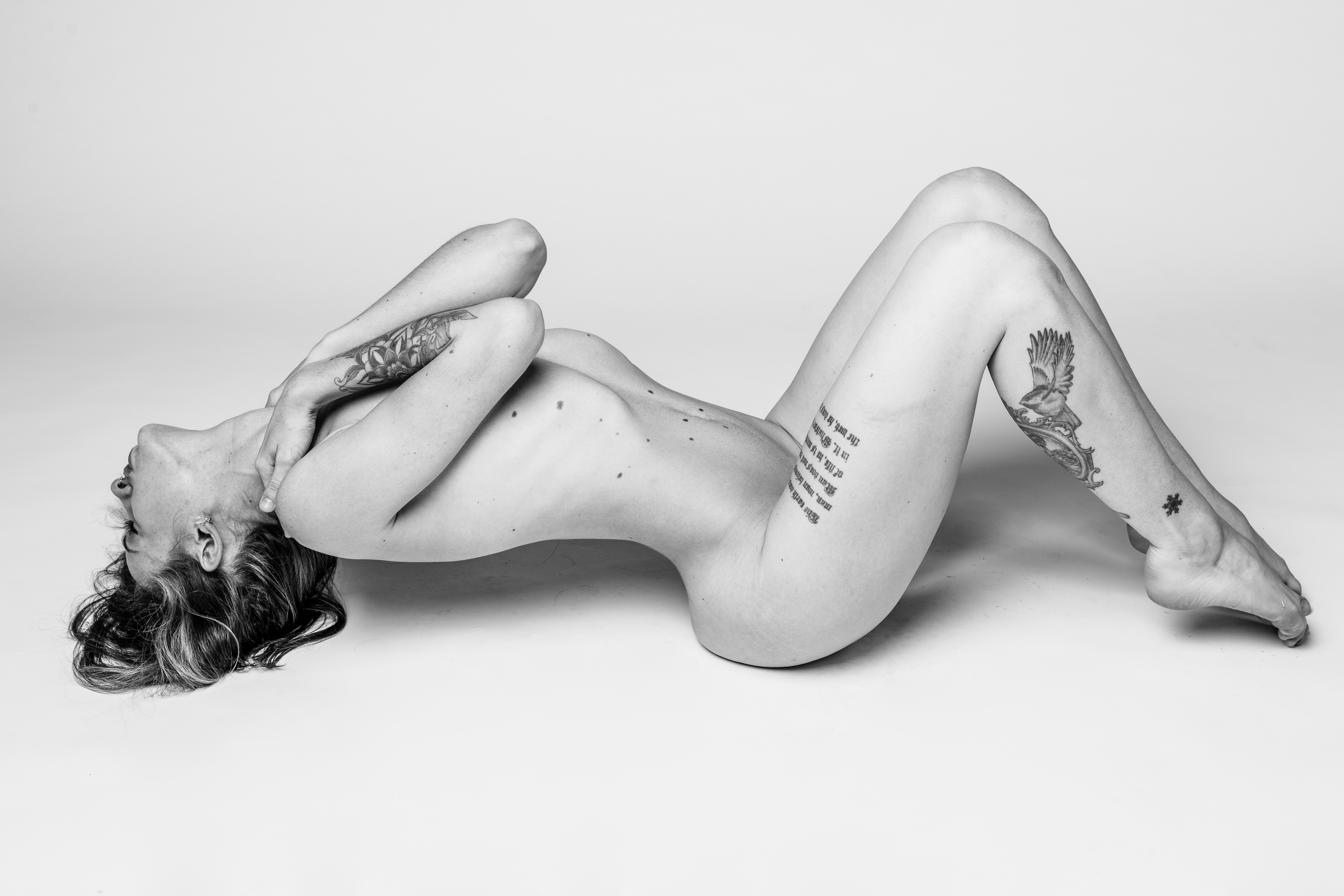 Sage 👑 header
