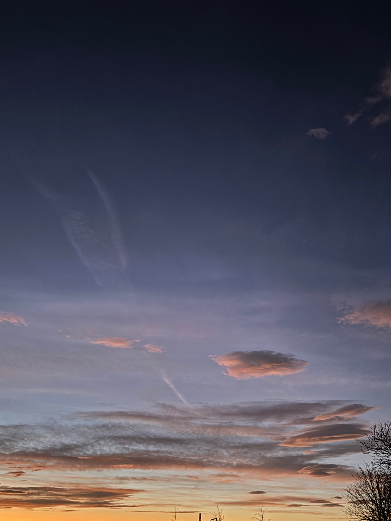 Scarlett B header