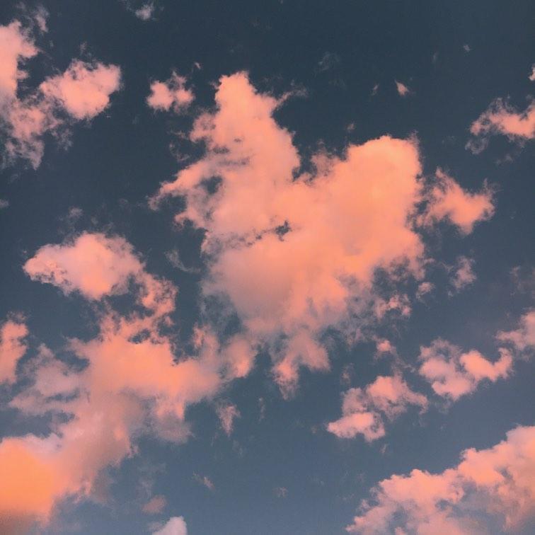 scarletttmua header