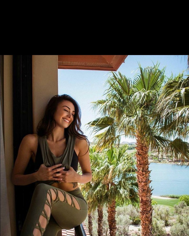 stephanie vino header
