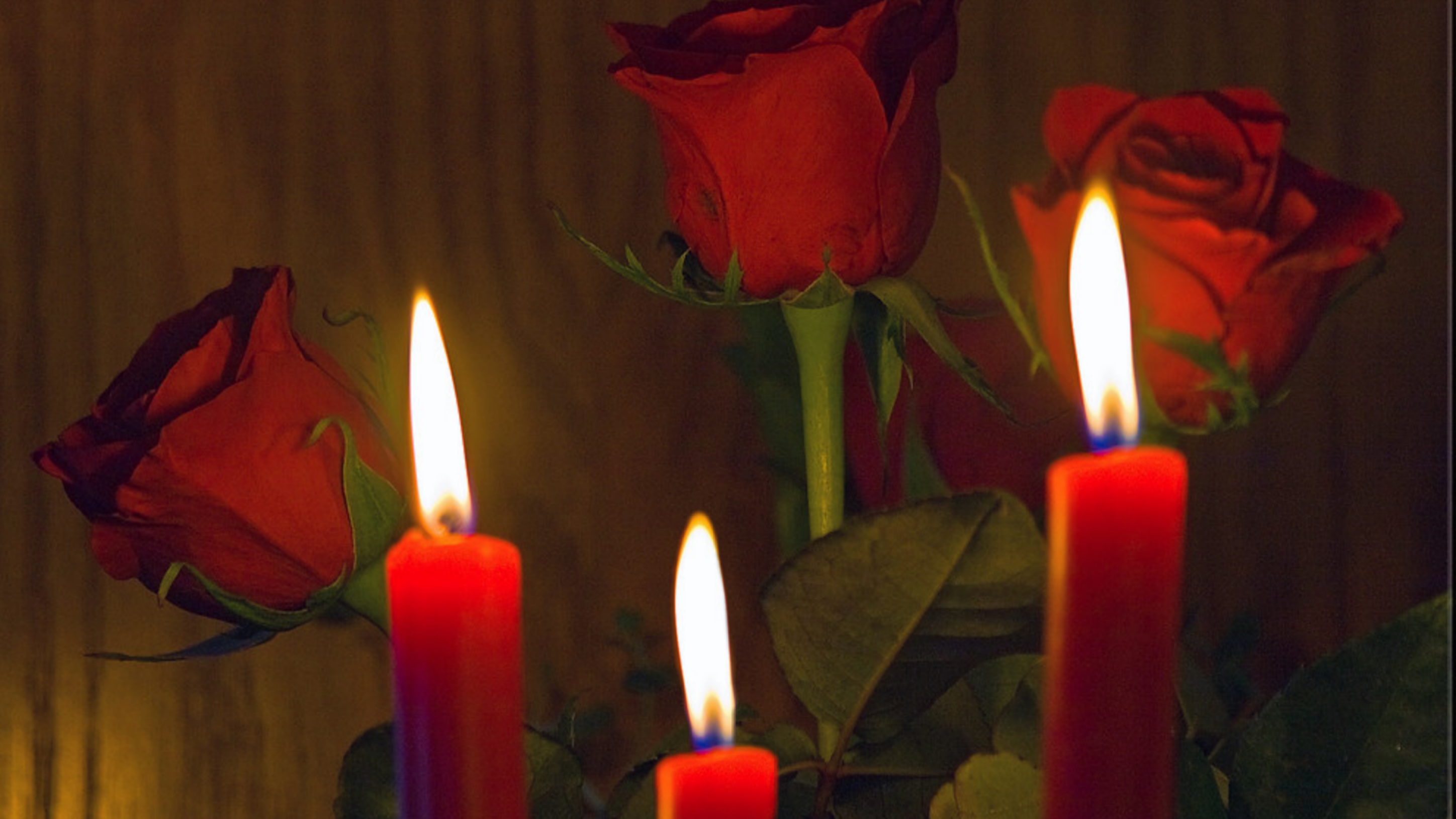 Nessa header