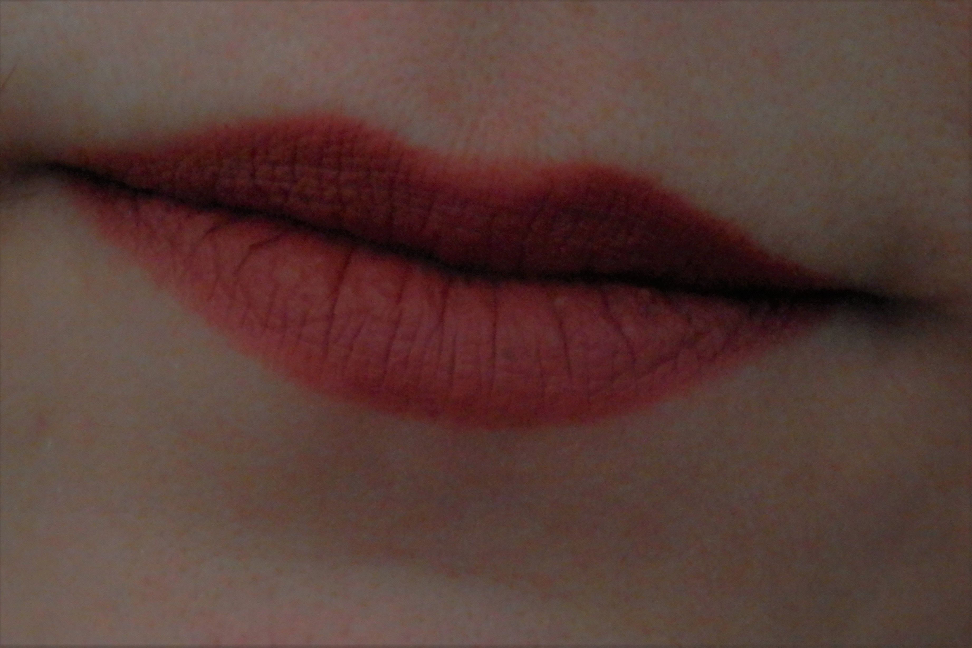 Shesalsa Porcellina header