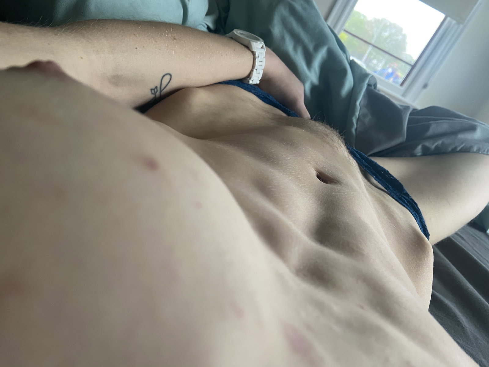 SkinnyDykeEnergy header