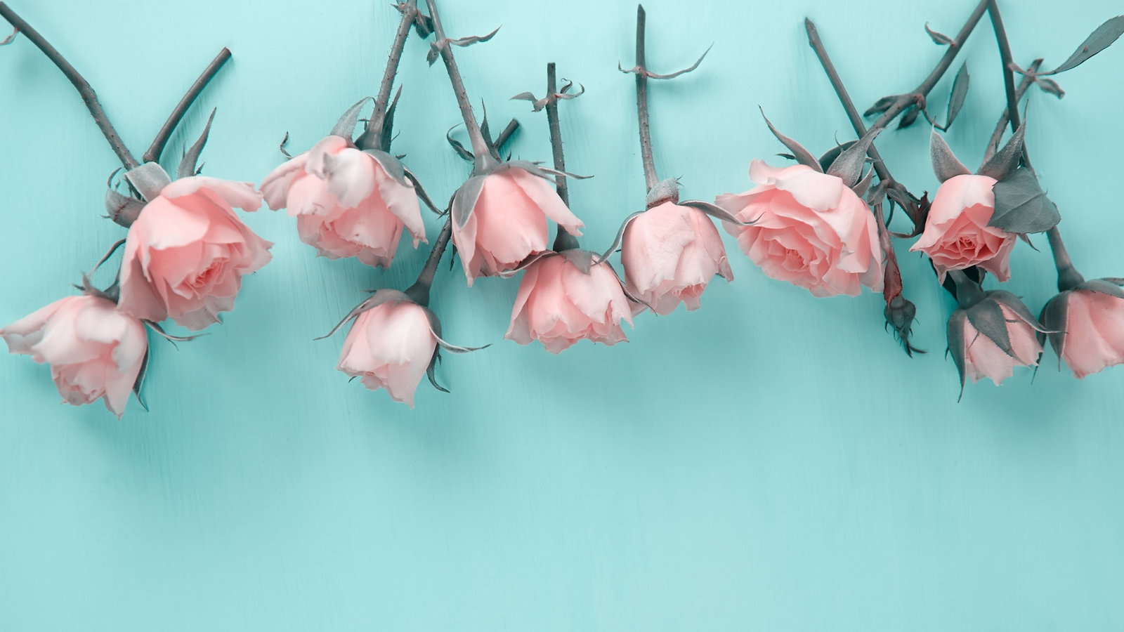 Skyler Lo header