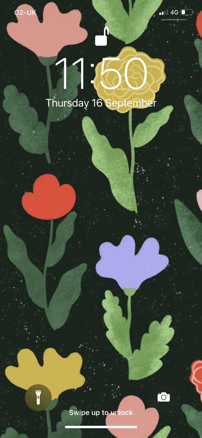 Sofi header