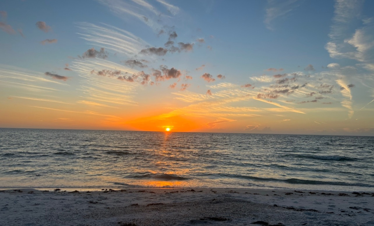 Sophia the Wife header