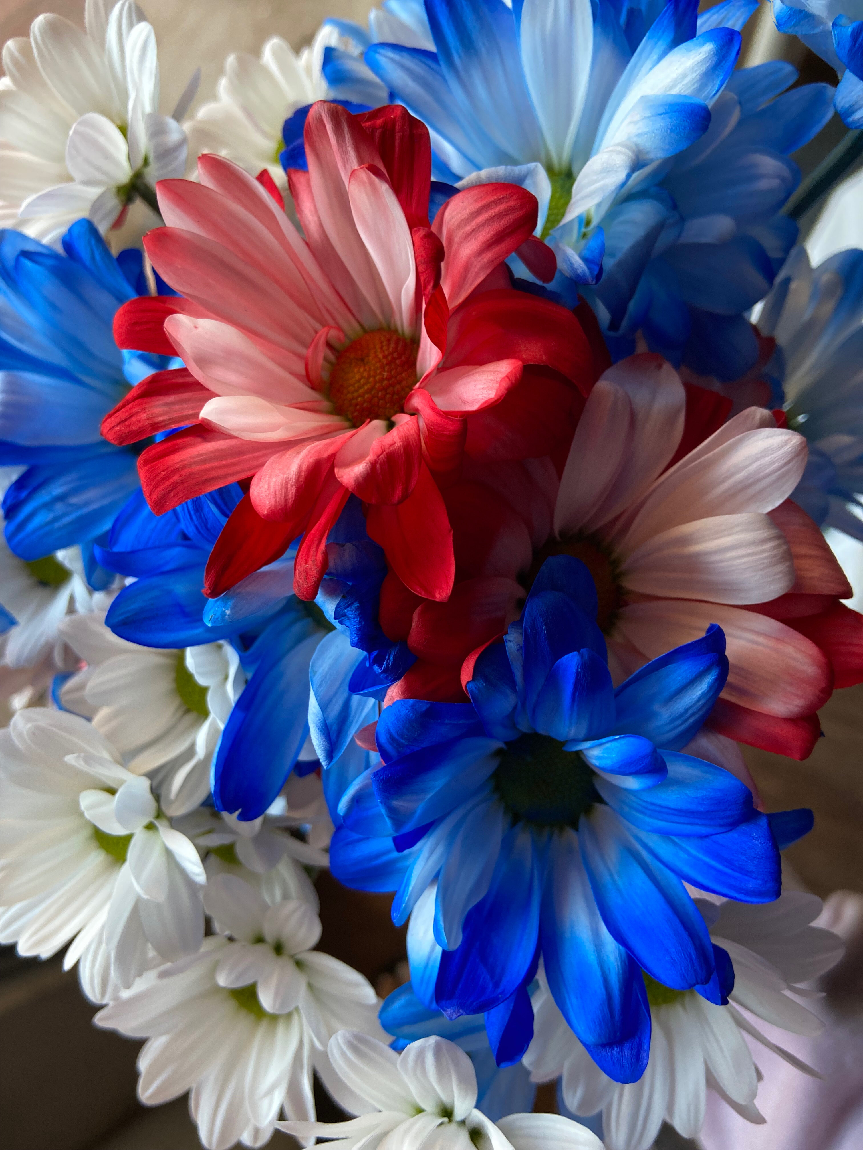 Vanilla Crème header