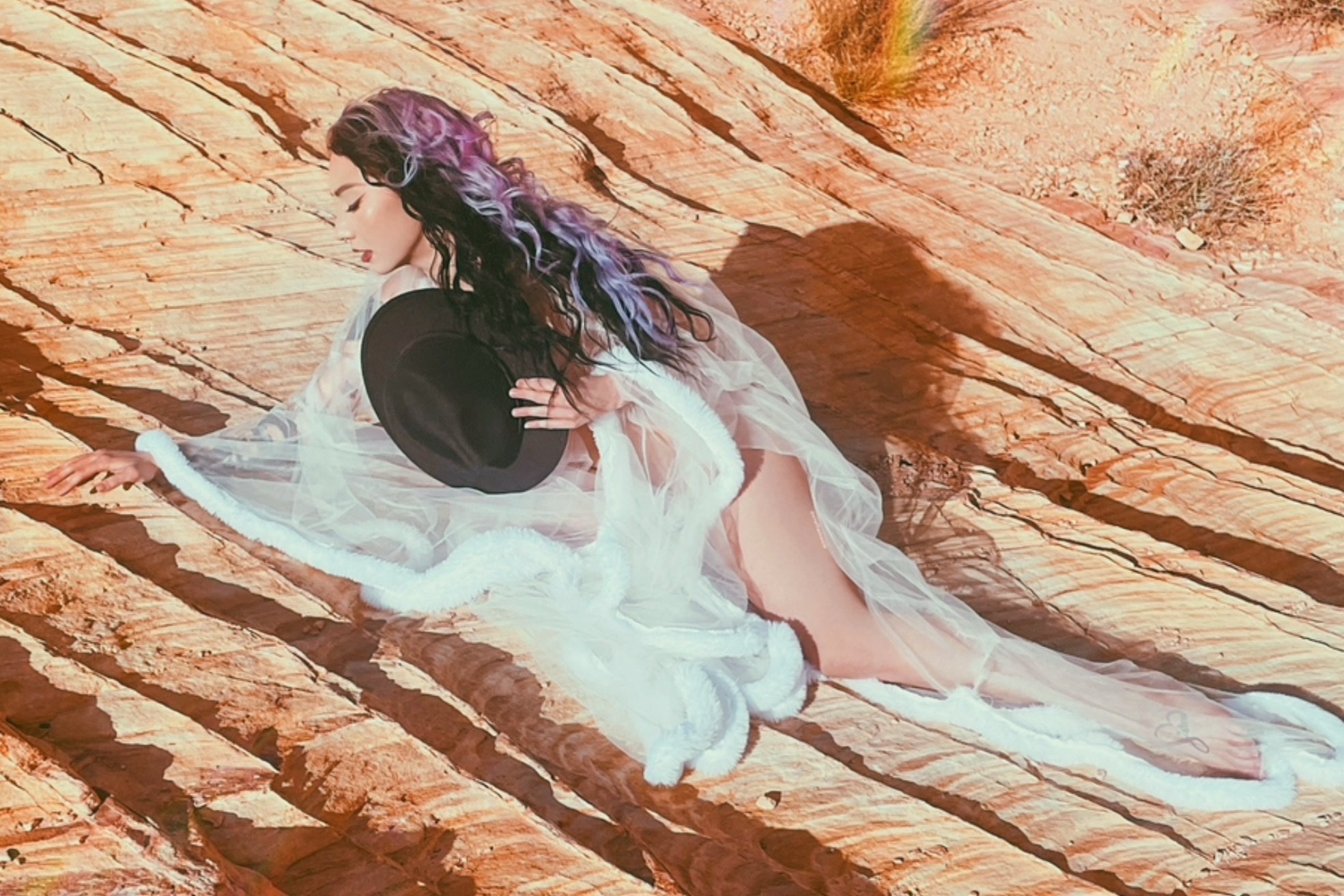 Steffameow header