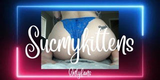 Kittens header