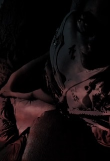 Sunflower Babe header