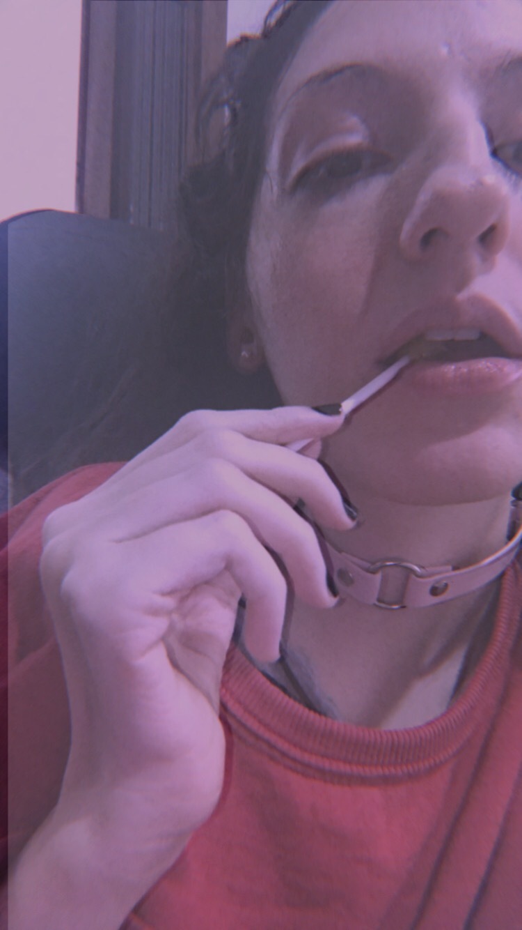 Sunnykitsunexo header