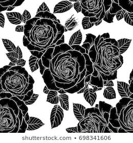 Talyna header