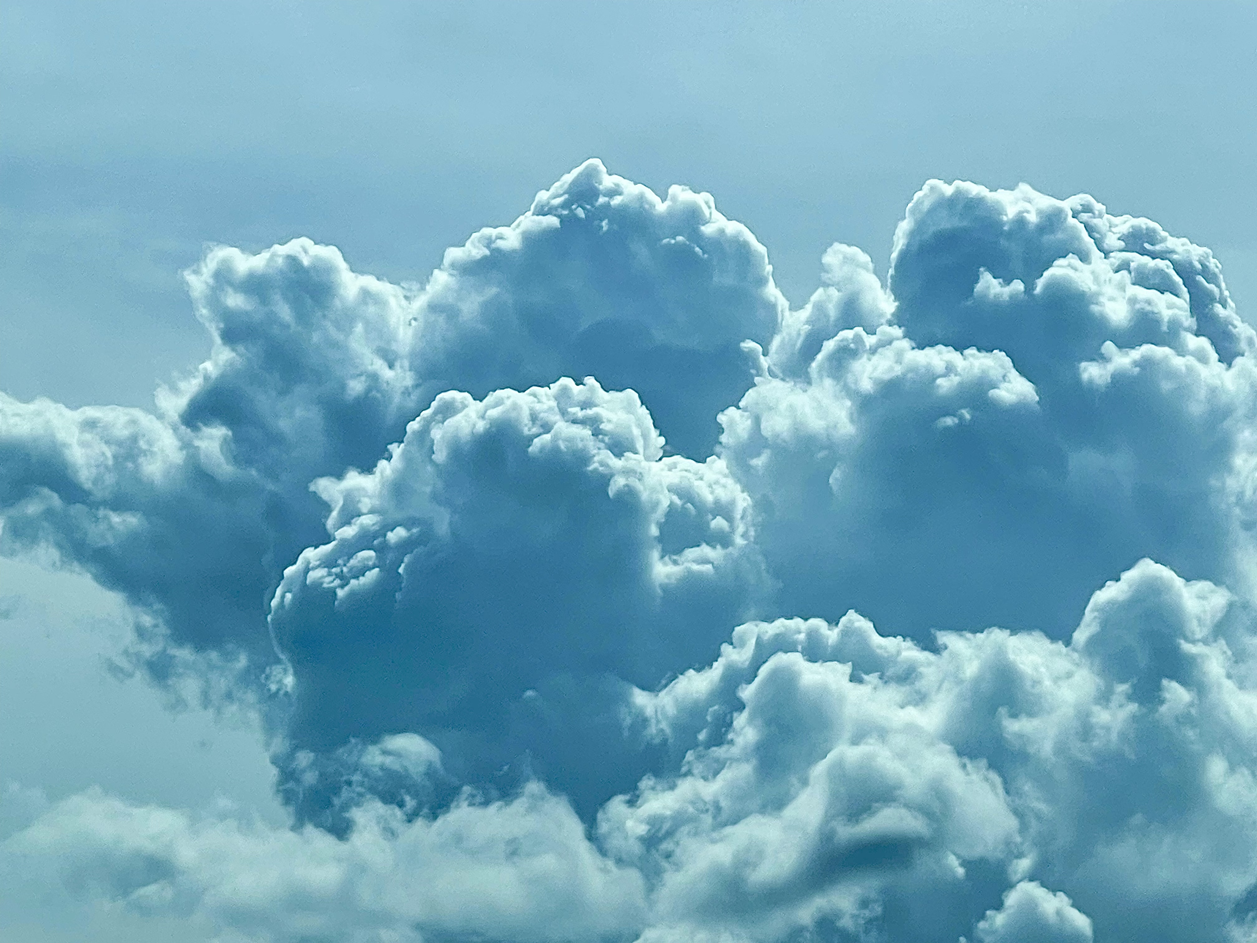 TheMissGinger header