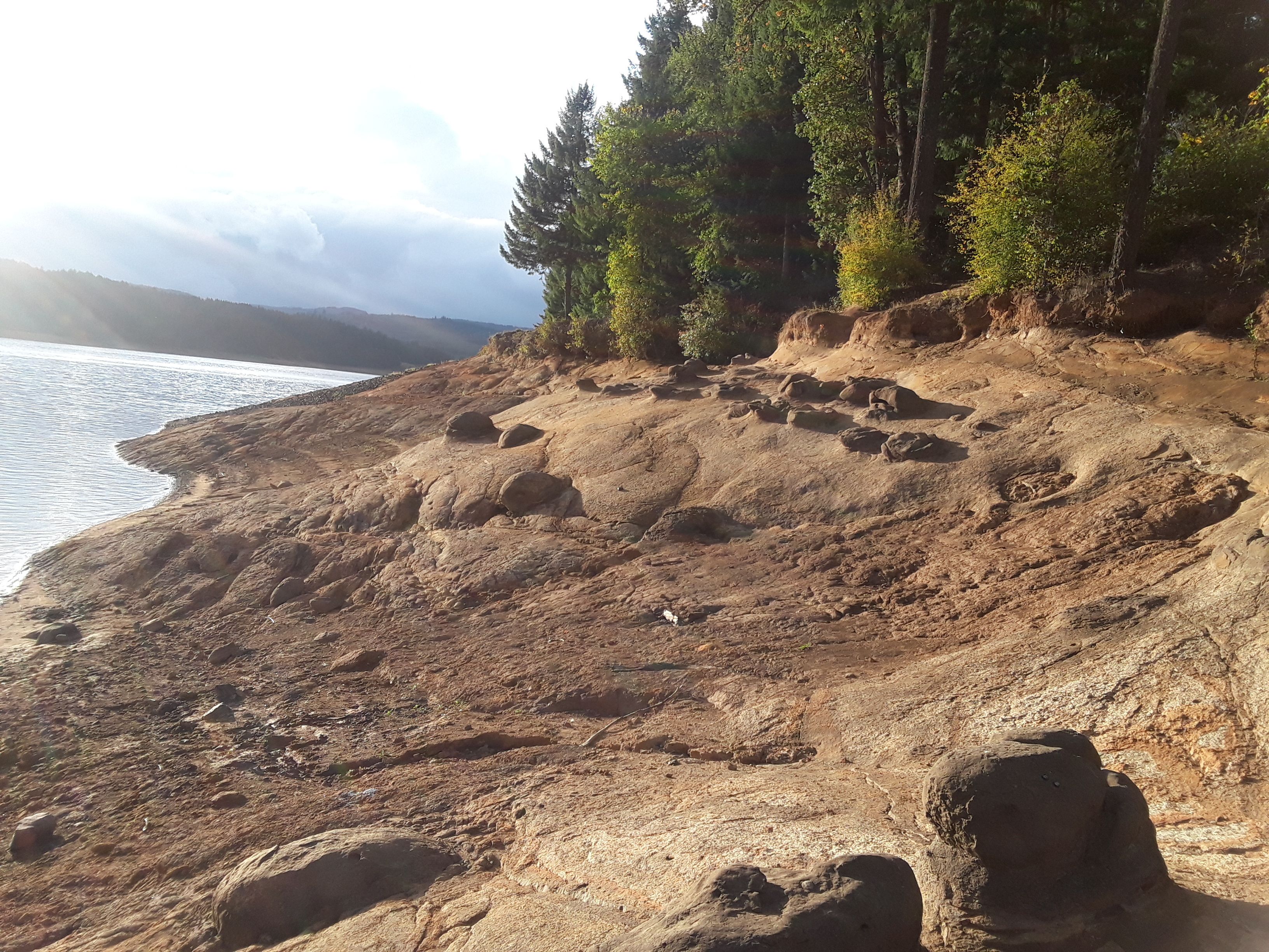 The Fishing Stripper header