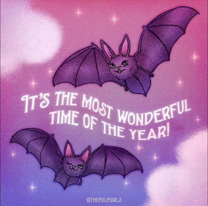 Raevyn Addams header