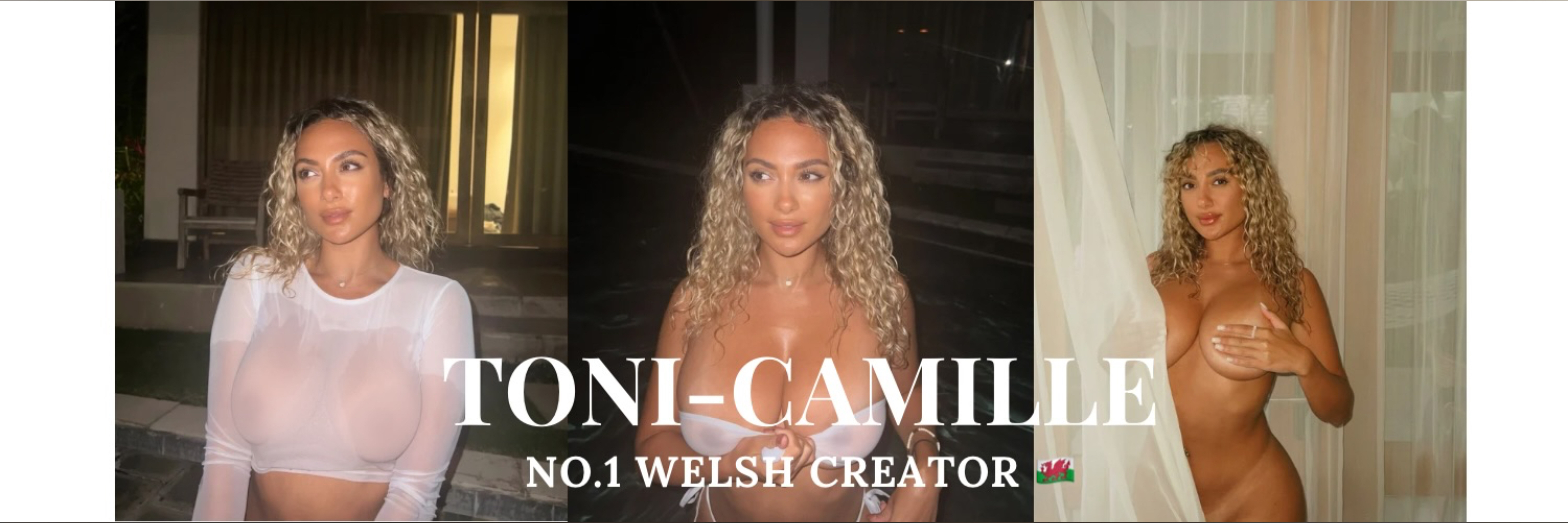 Toni-Camille header