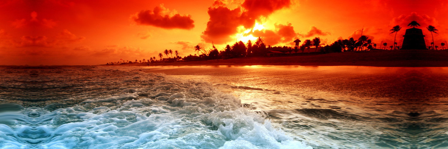 Kale header