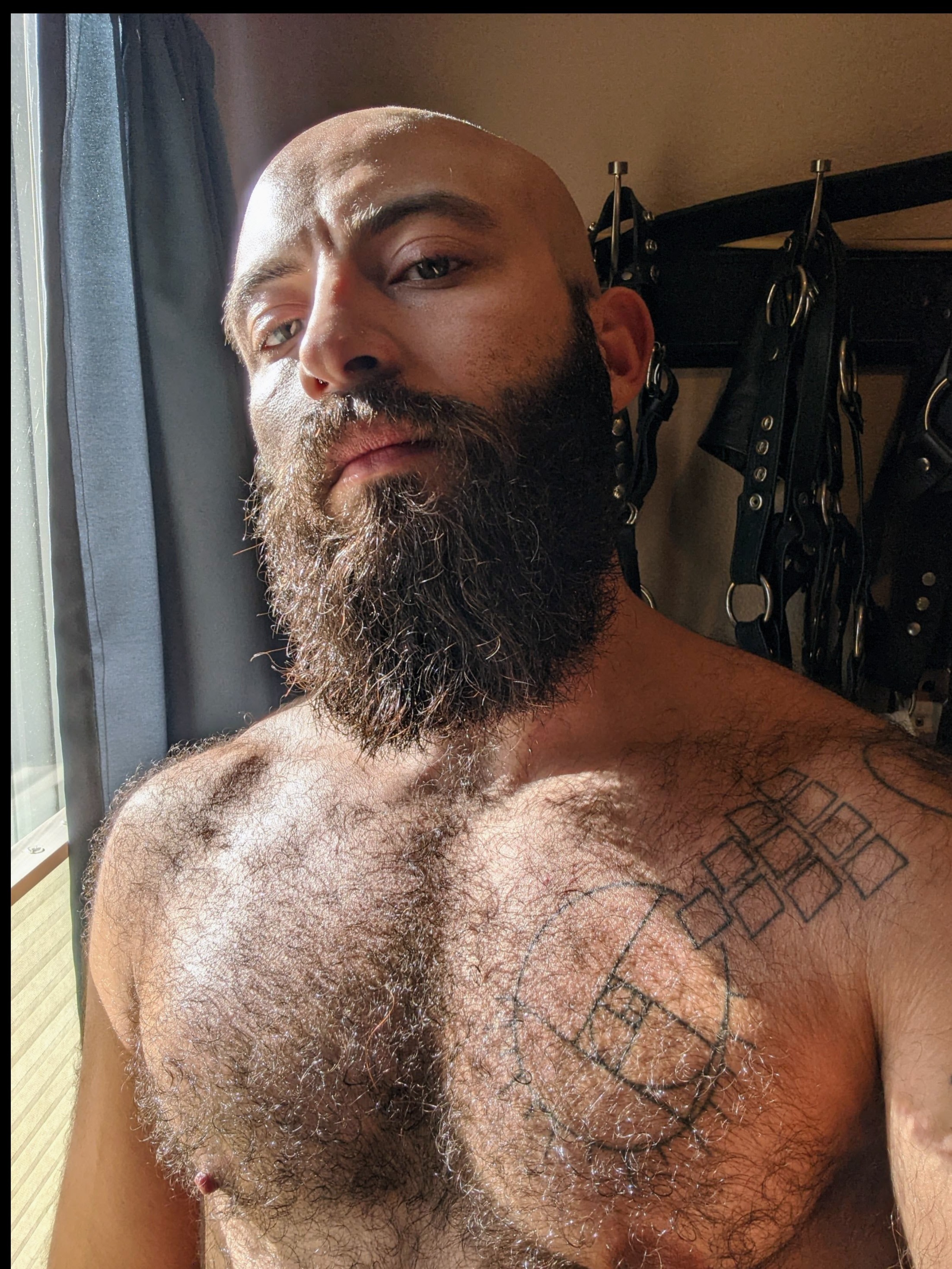 Trip Richards header