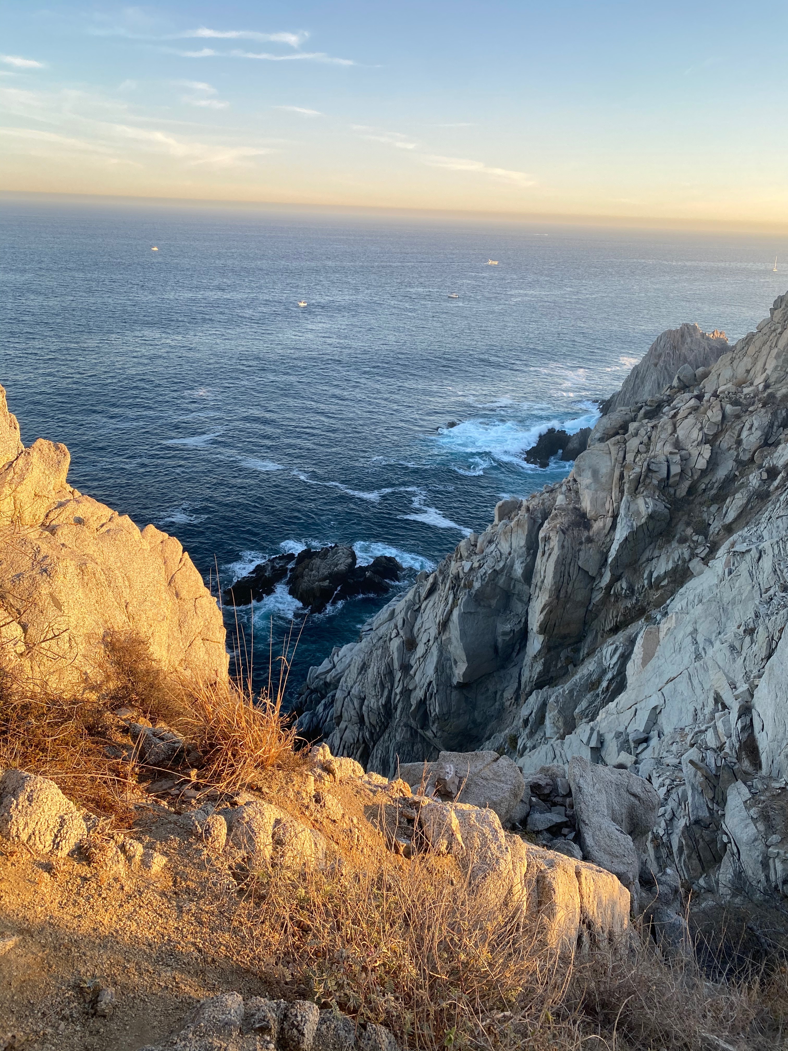 Fit Texas Boy 🤍 header