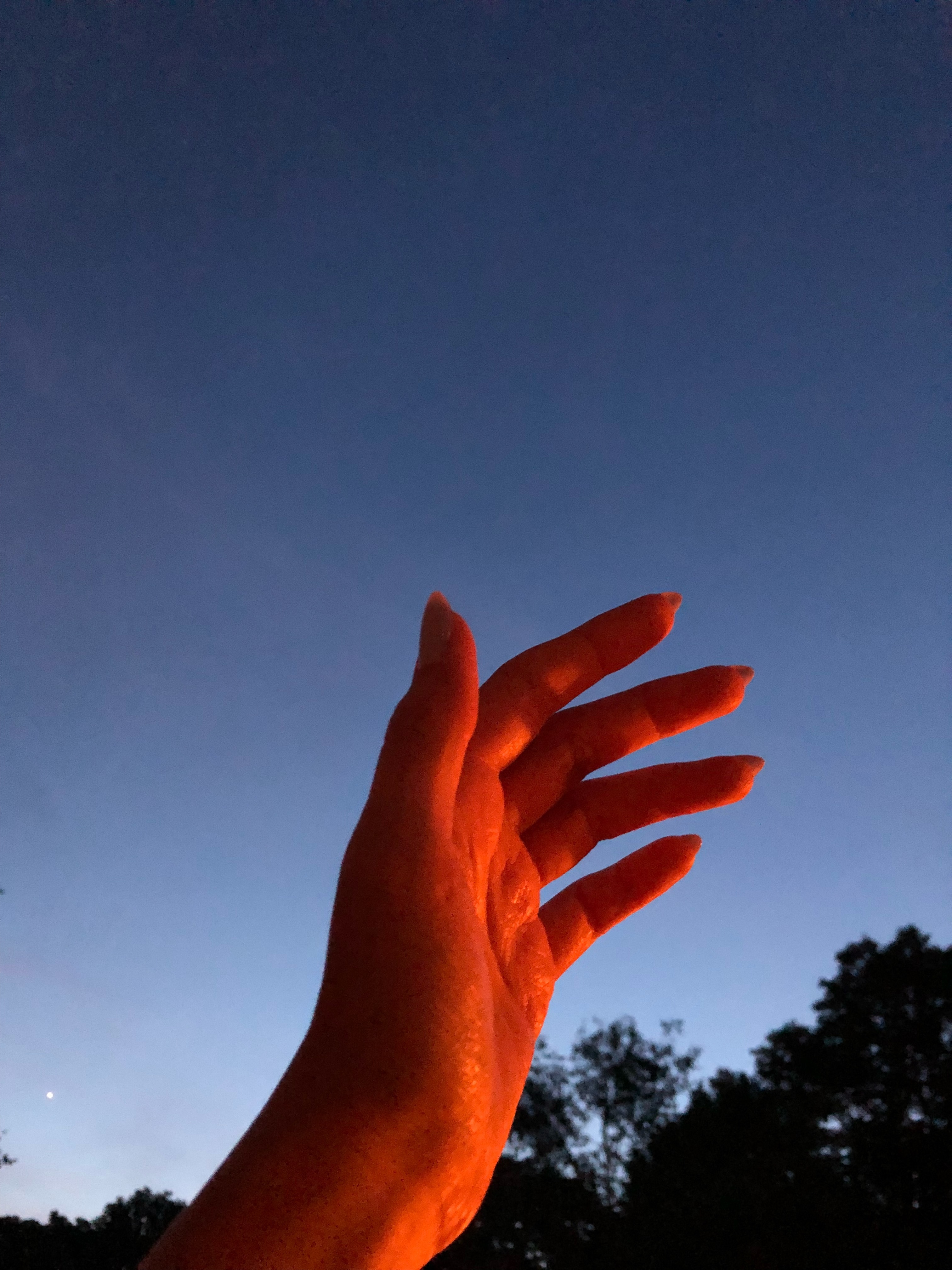 Tangerinedreamhands+feet header